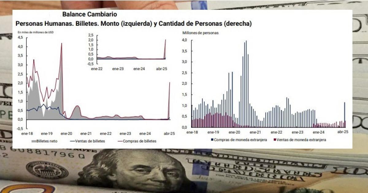 EFECTO Las restricciones al acceso al dolar se levantaron el 14 de abril