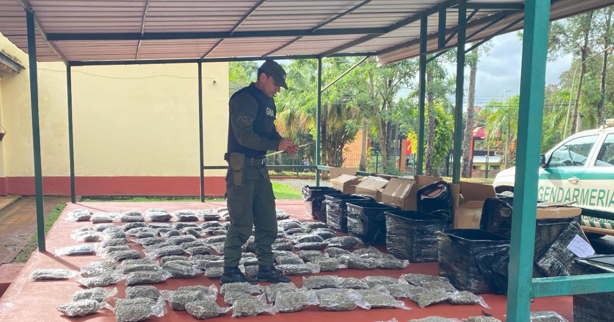 Incautan casi 100 kilos de marihuana- eran transportados en encomiendas