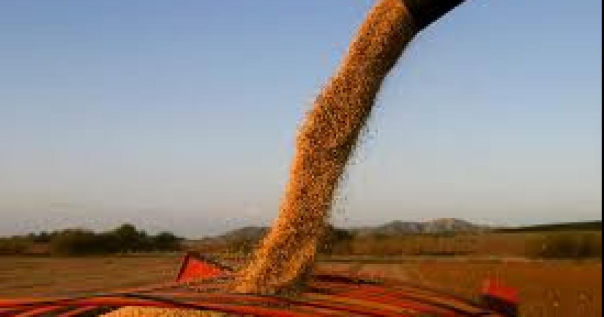 En el primer semestre serían US3300 millones