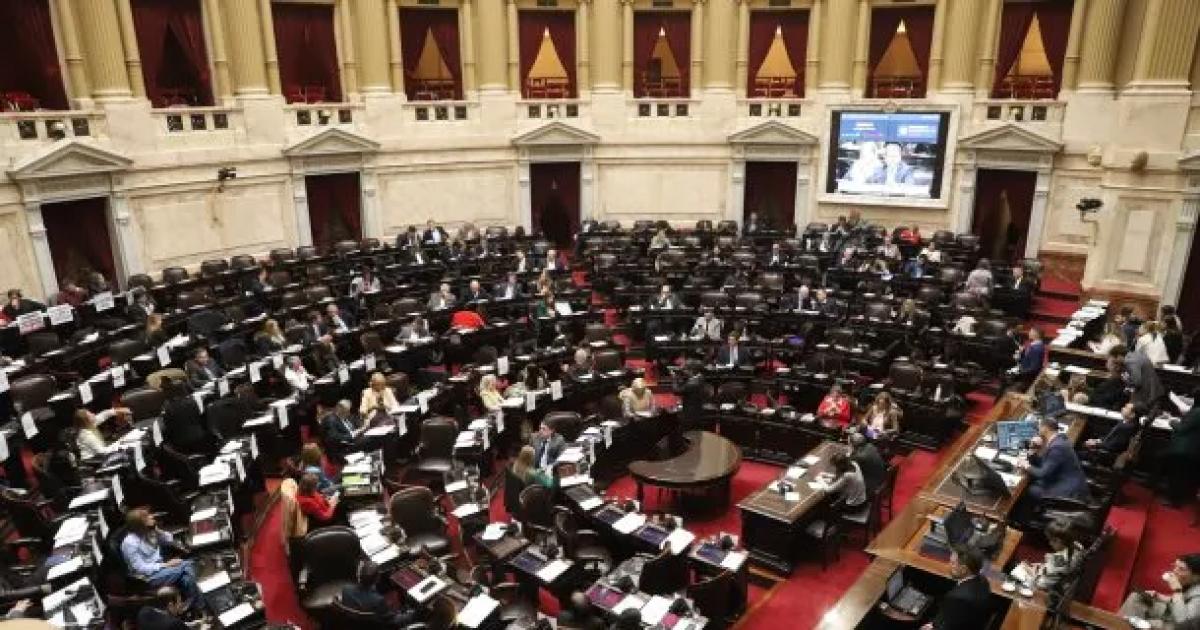 Diputados dio media sancioacuten a la Emergencia en Discapacidad