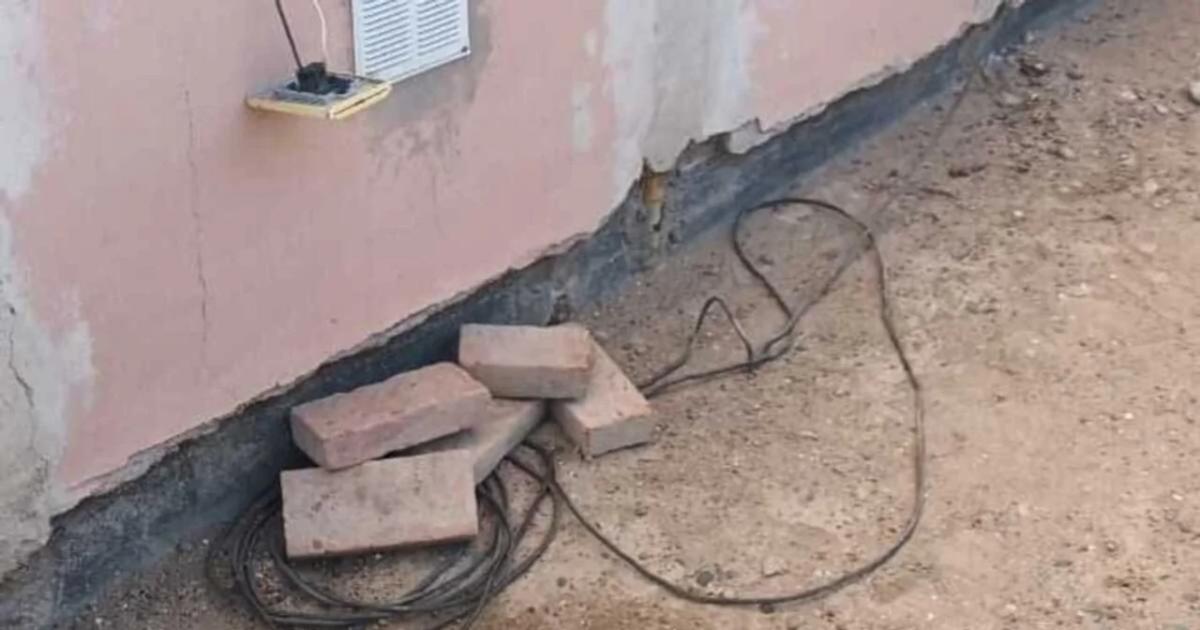 De terror- una mujer intentoacute electrocutar perros con un pan con cables pelados