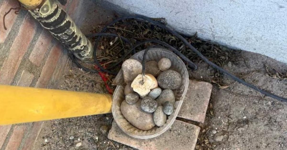 Una mujer insertó un cable con corriente eléctrica en un pan para herir a animales (Foto- Canal 12)
