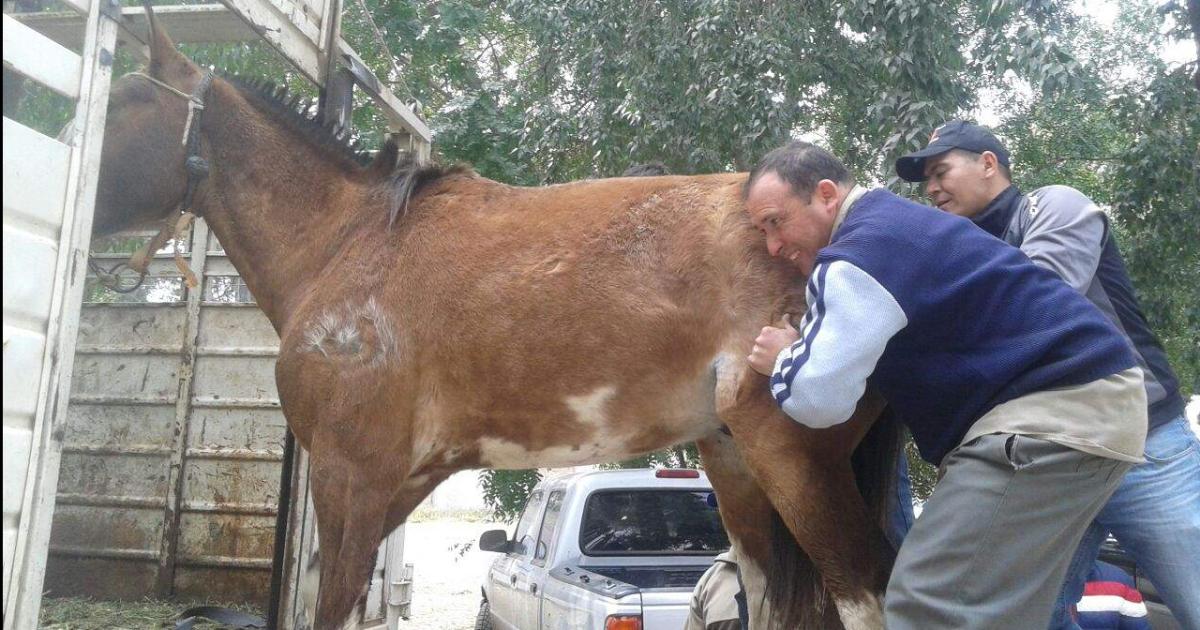 MEDIDAS La fiscal de turno intervino y solicitó una serie de diligencias entre ellas la identificación de las personas