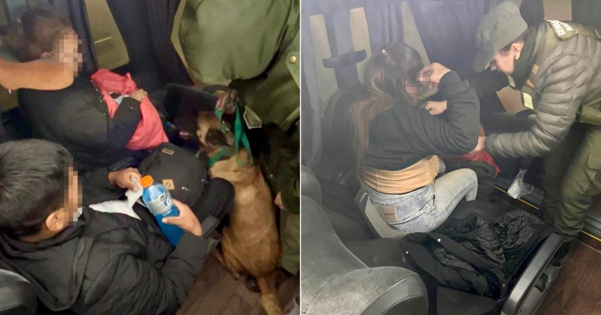 Detienen a una pasajera de un transporte puacuteblico por ocultar en el abdomen seis paquetes con cocaiacutena