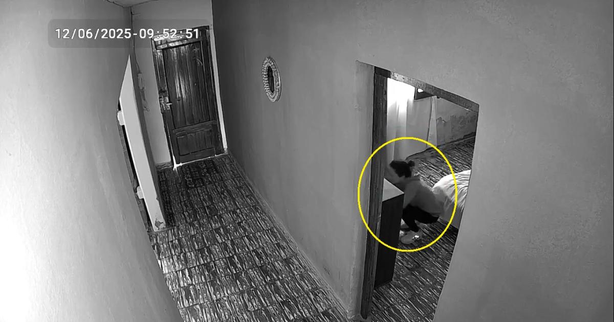 VIDEO  Una mujer fue detenida por hurto tras quedar registrada por una caacutemara de seguridad