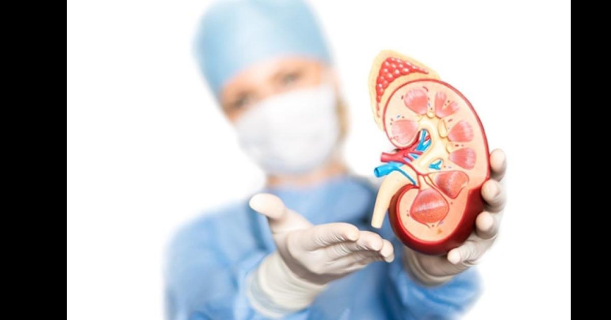 La insuficiencia renal es la incapacidad de los riñones para filtrar los desechos de la sangre