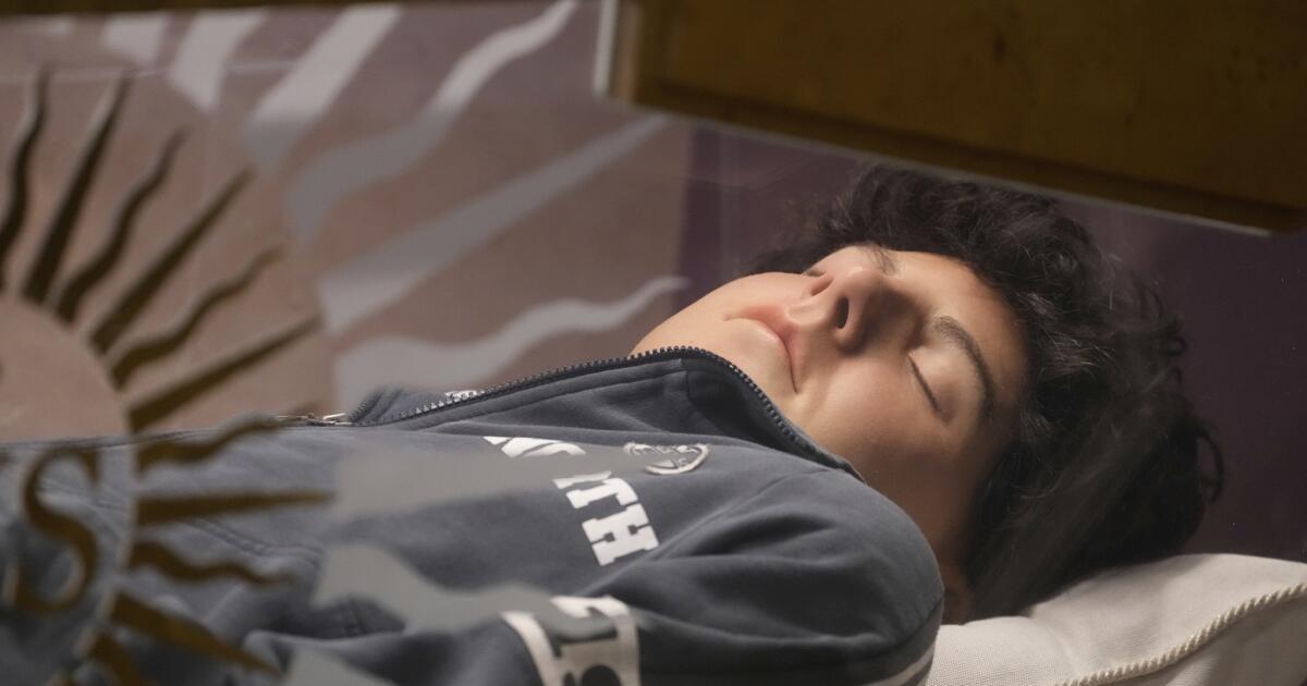 El papa Leoacuten XIV anuncioacute la fecha de canonizacioacuten de Carlo Acutis el joven influencer de la fe