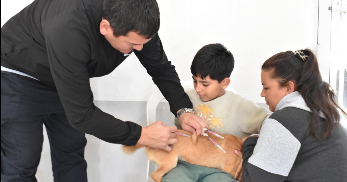 Tuvo gran adhesioacuten la campantildea antirraacutebica de mascotas en Fernaacutendez