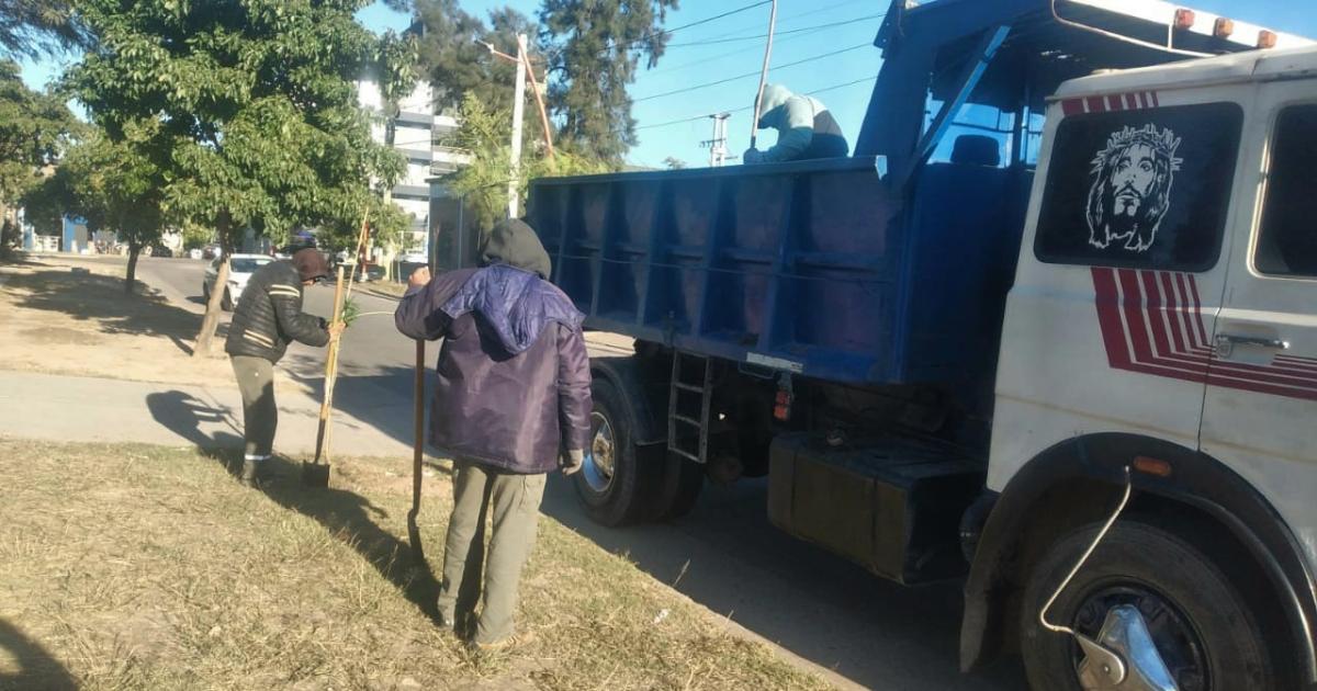 La Municipalidad lanza el arbolado urbano 2025 en el barrio Alberdi