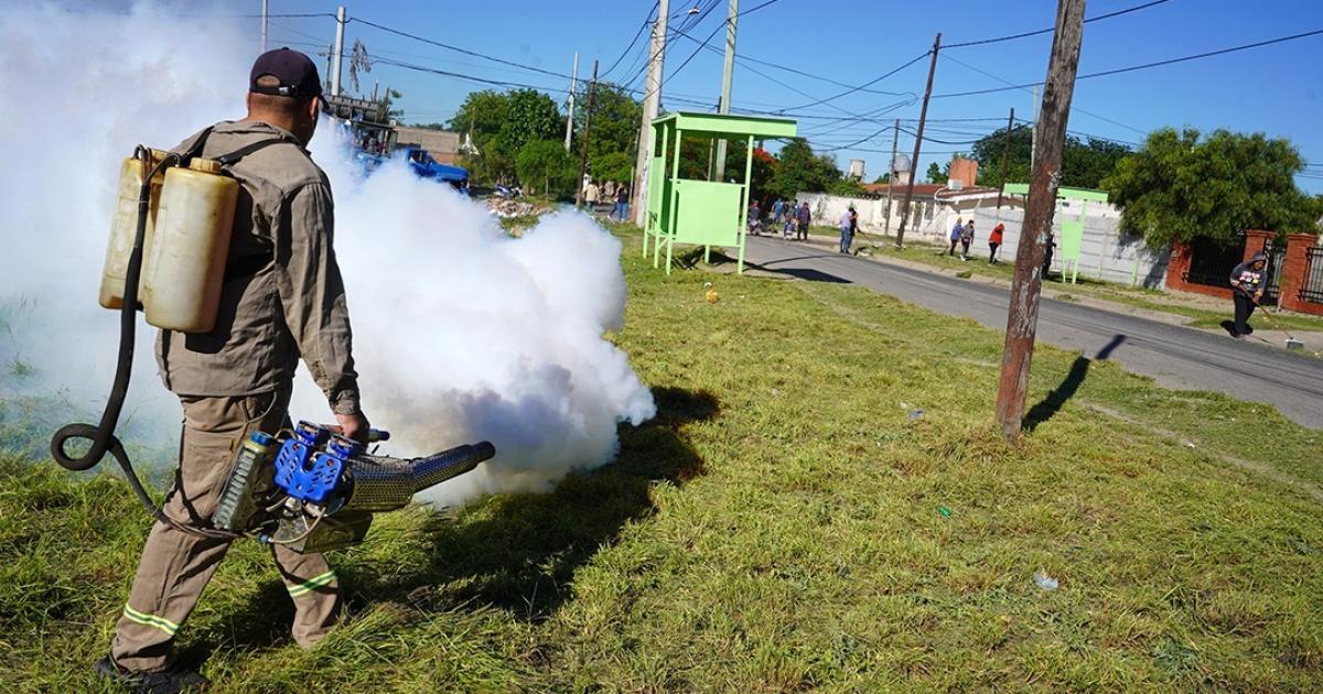 El municipio desarrollaraacute el proyecto Entorno Saludable para combatir el dengue