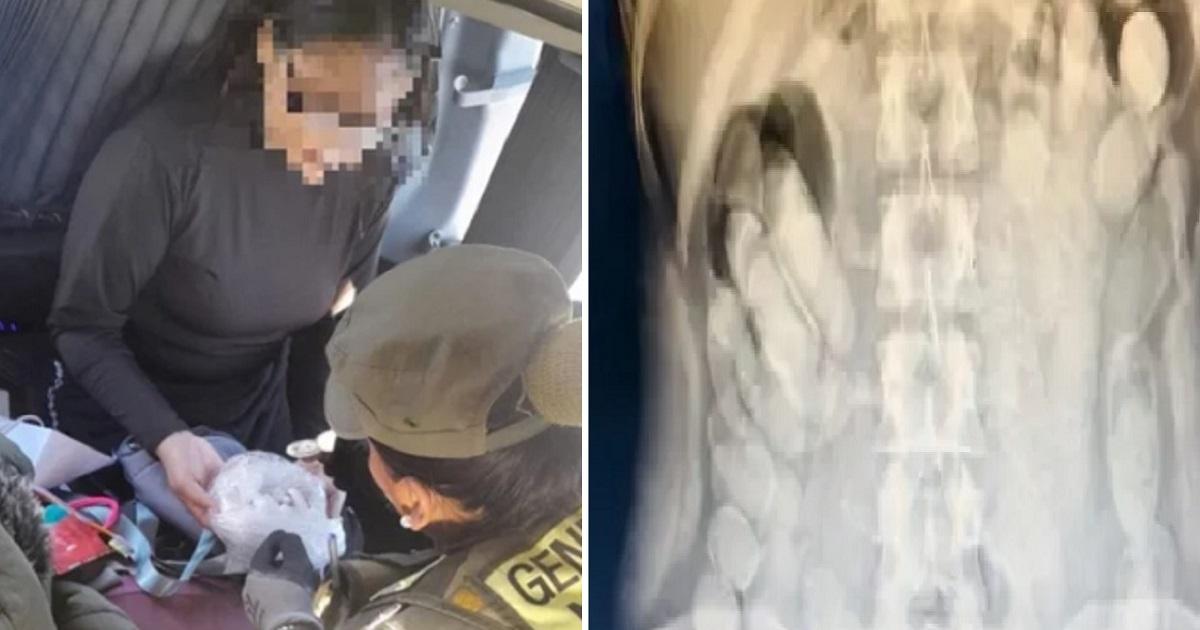 Detienen a una mujer con maacutes de un kilo de cocaiacutena en caacutepsulas en un control vial