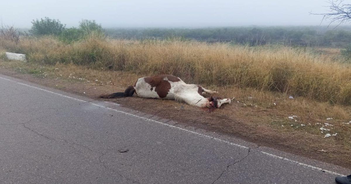 La camioneta impactó contra un animal en la Ruta 92