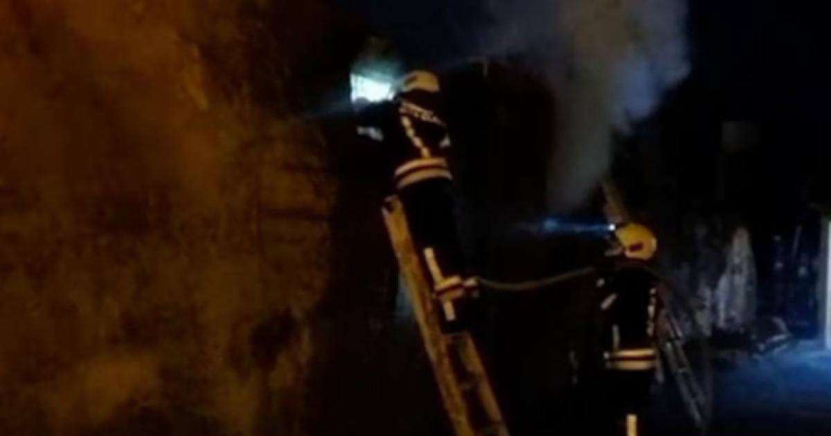 Incendio fatal- murió una mujer y su perro fue reanimado con oxígeno (Foto captura video)
