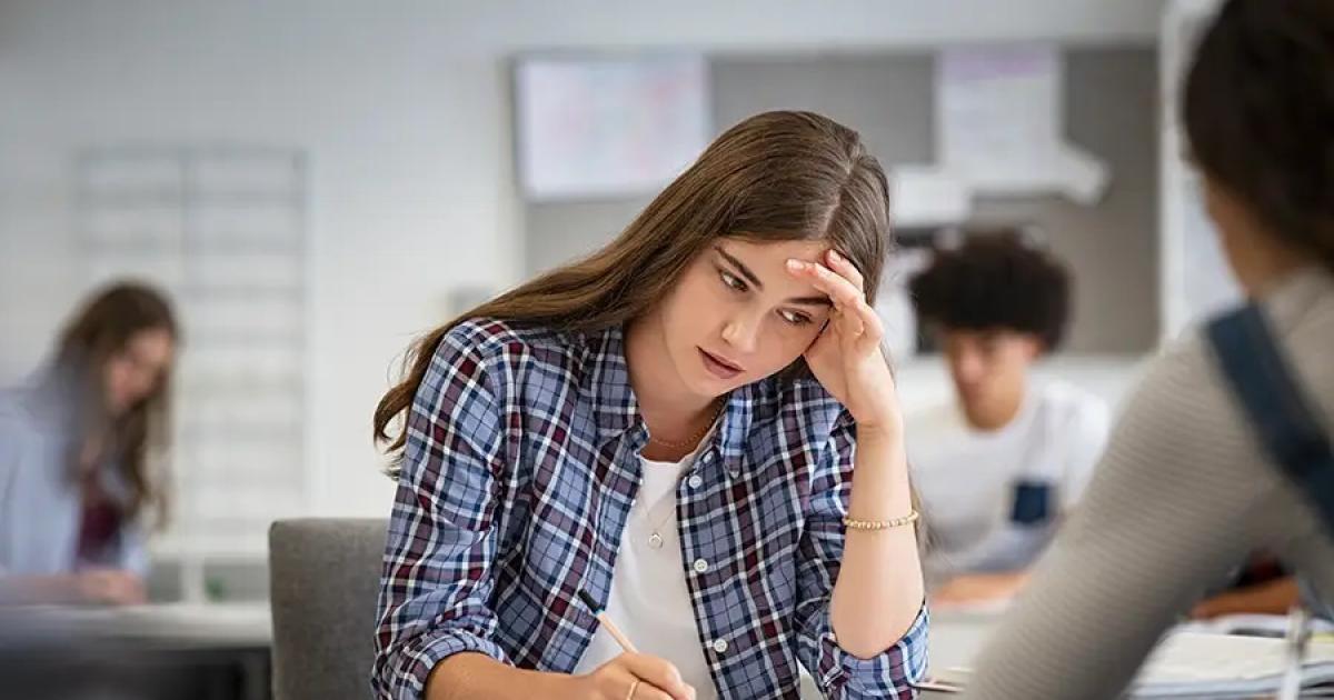 En estos momentos los jóvenes estudiantes se encuentran planificando su futuro