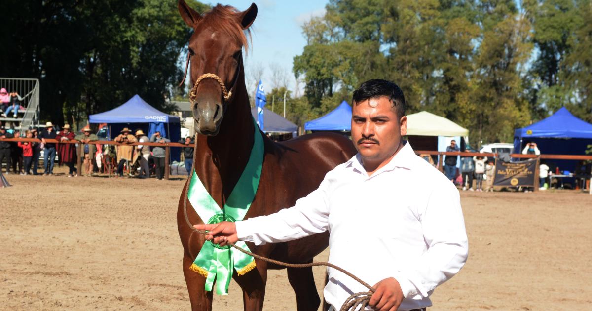 El concurso de caballos peruanos fue todo un eacutexito