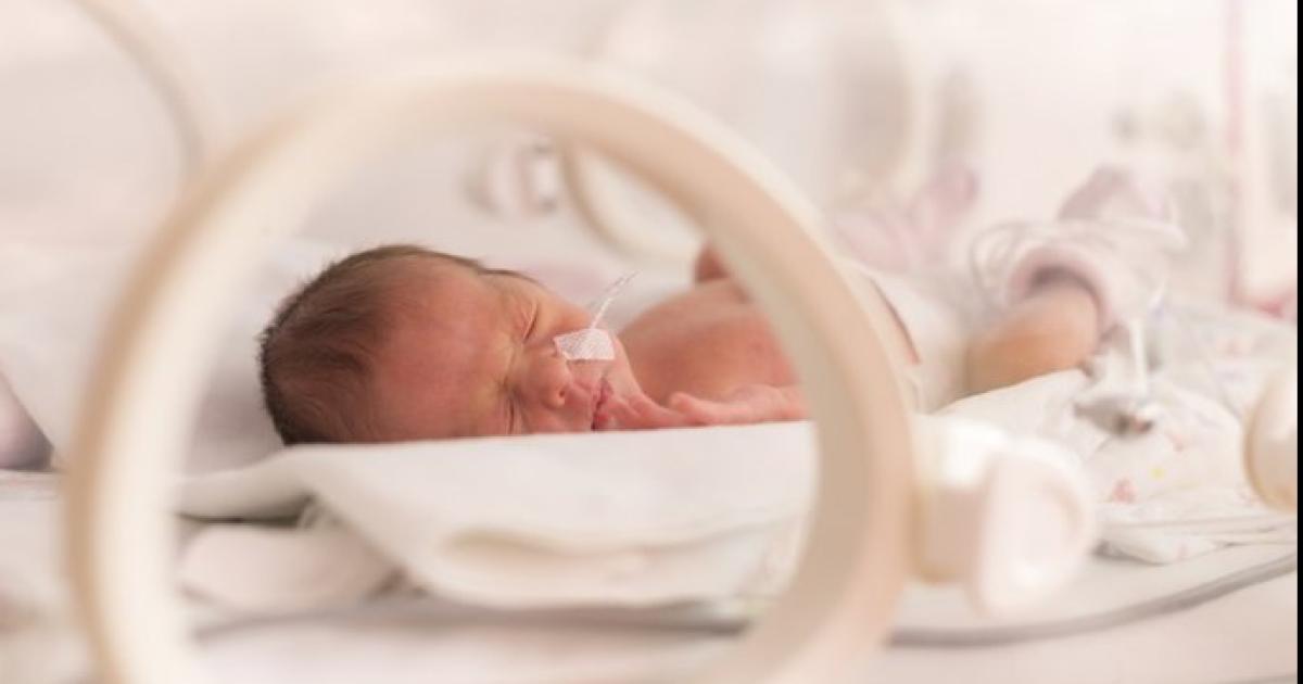 CONSECUENCIA Podría afectar el sistema nervioso central el cardiovascular el renal y el cutneo