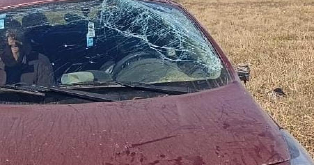 Lo cerraron en la ruta perdioacute el control del auto y terminoacute volcando
