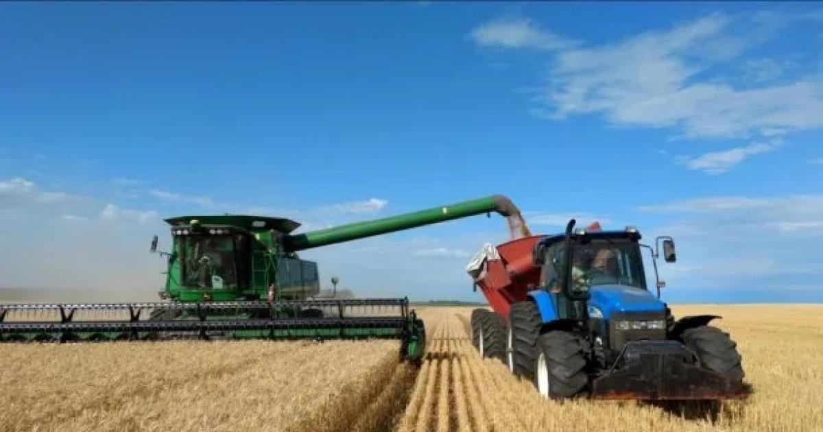 Por Decreto Gobierno oficializoacute la continuidad de las retenciones reducidas para el campo