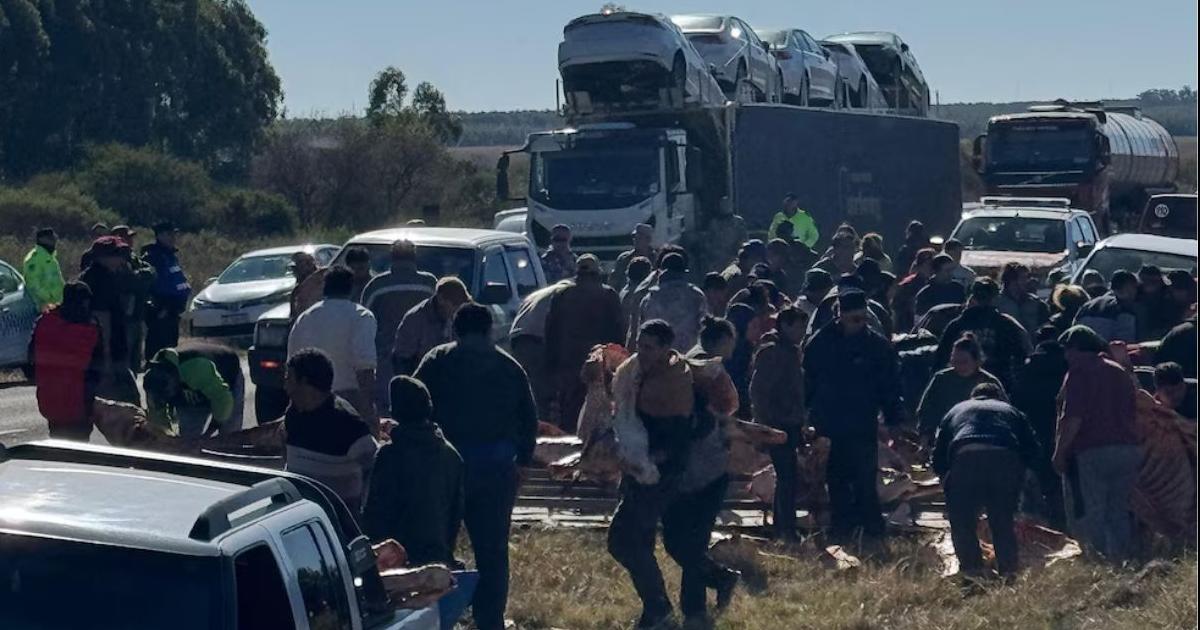 El camión trasladaba reses de carne desde José León Surez en Buenos Aires con destino al frigorífico Benito Legerén de Concordia