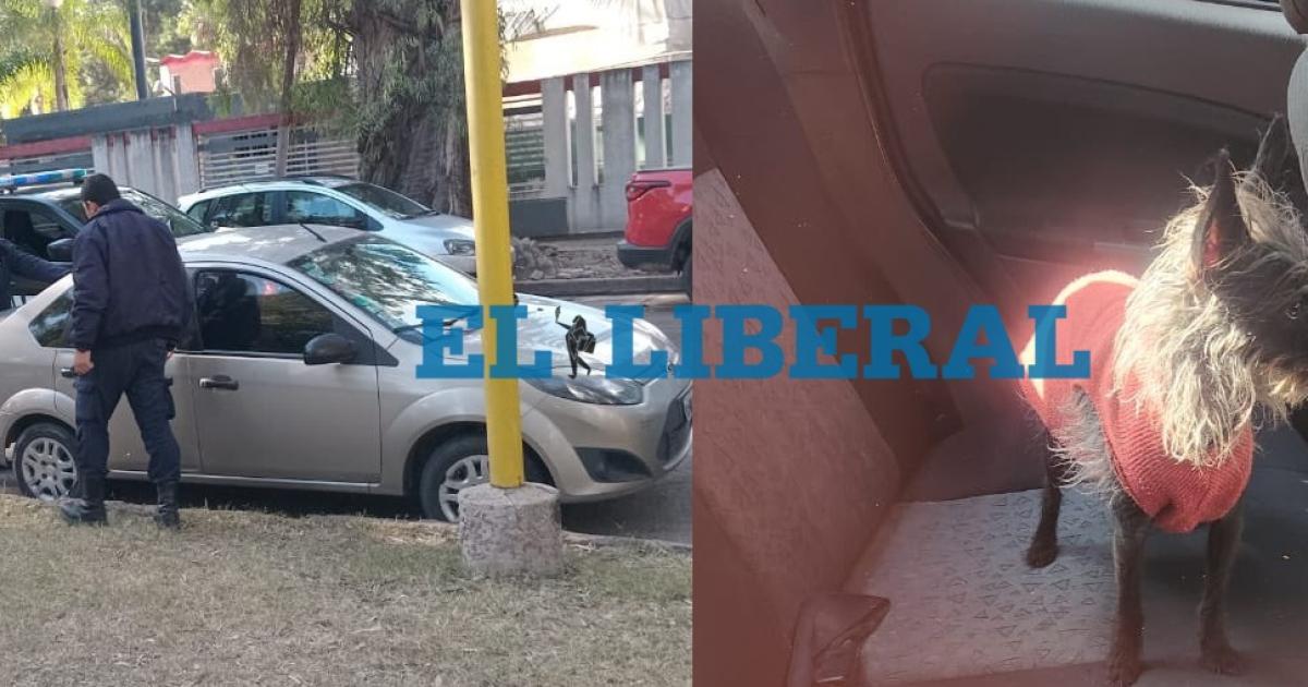Dejaron a un perro encerrado en un auto al sol y generaron alarma en el barrio Parque