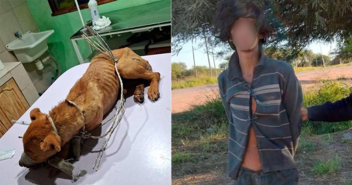 Joven fue acusado de practicar culto sataacutenico y de abusar de un perro