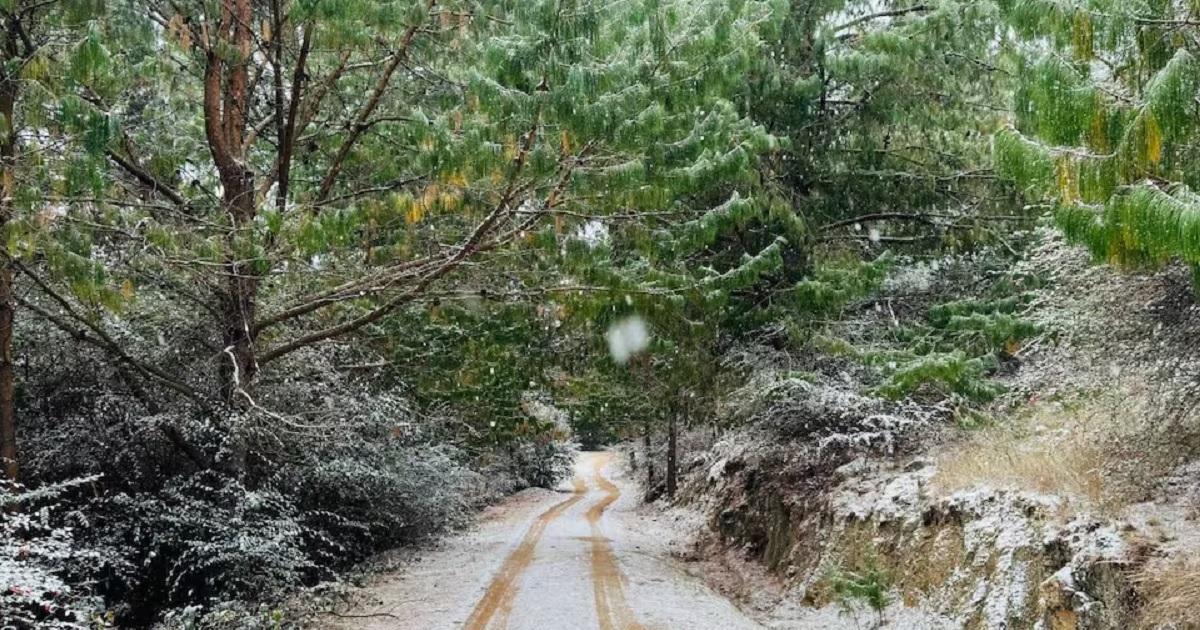 Postales blancas en Coacuterdoba- la ola polar tintildeoacute de invierno la provincia