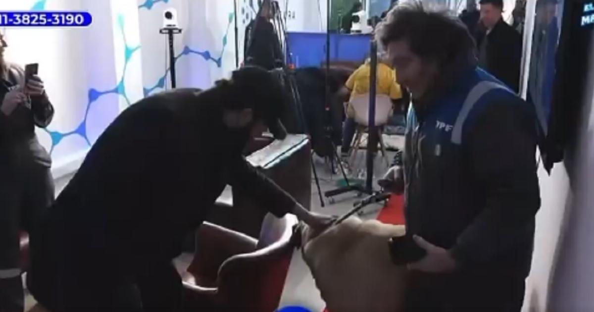 VIDEO- Javier Milei reaparecioacute en puacuteblico con Conan y generoacute revuelo