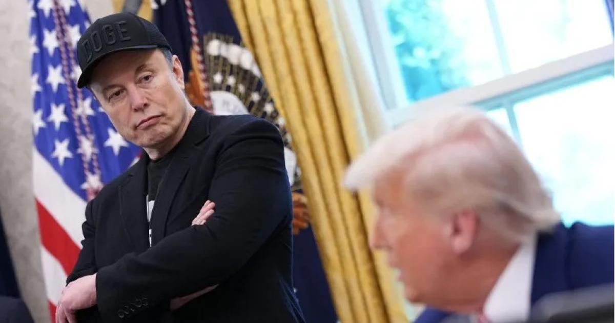 Musk contra reforma de Trump- Destruiraacute millones de empleos