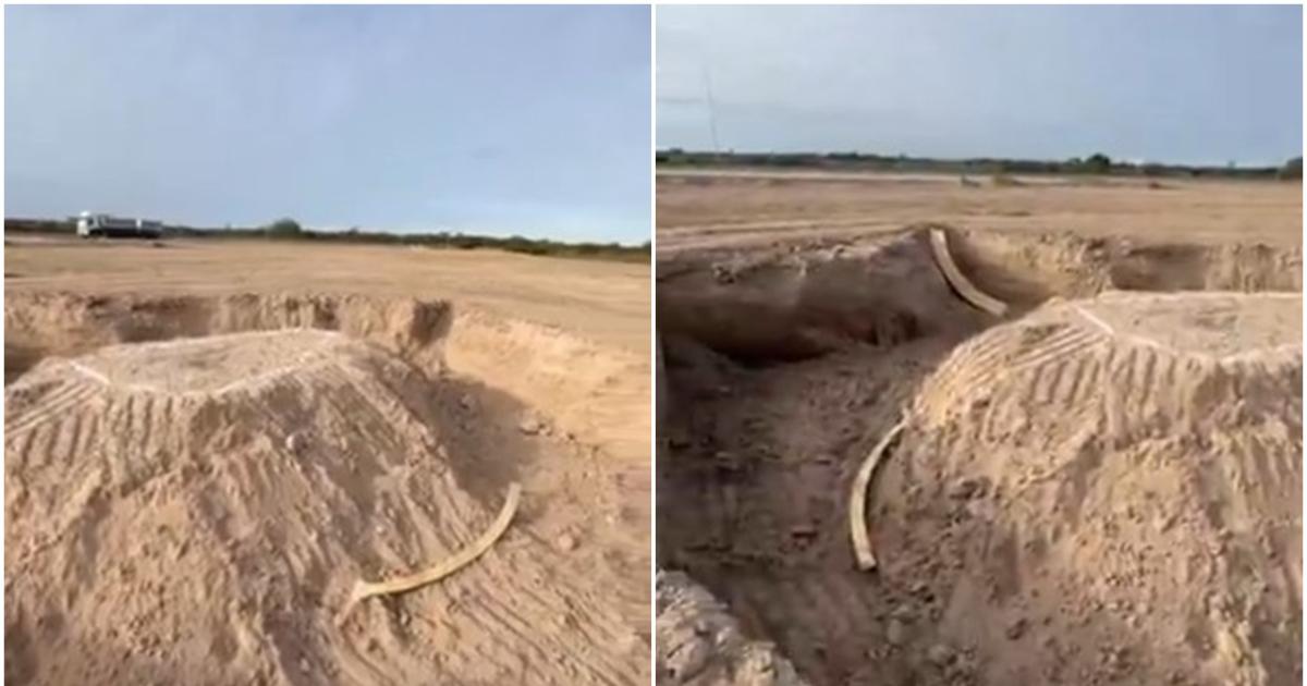 Construirn una pista de skate en la Costanera Sur