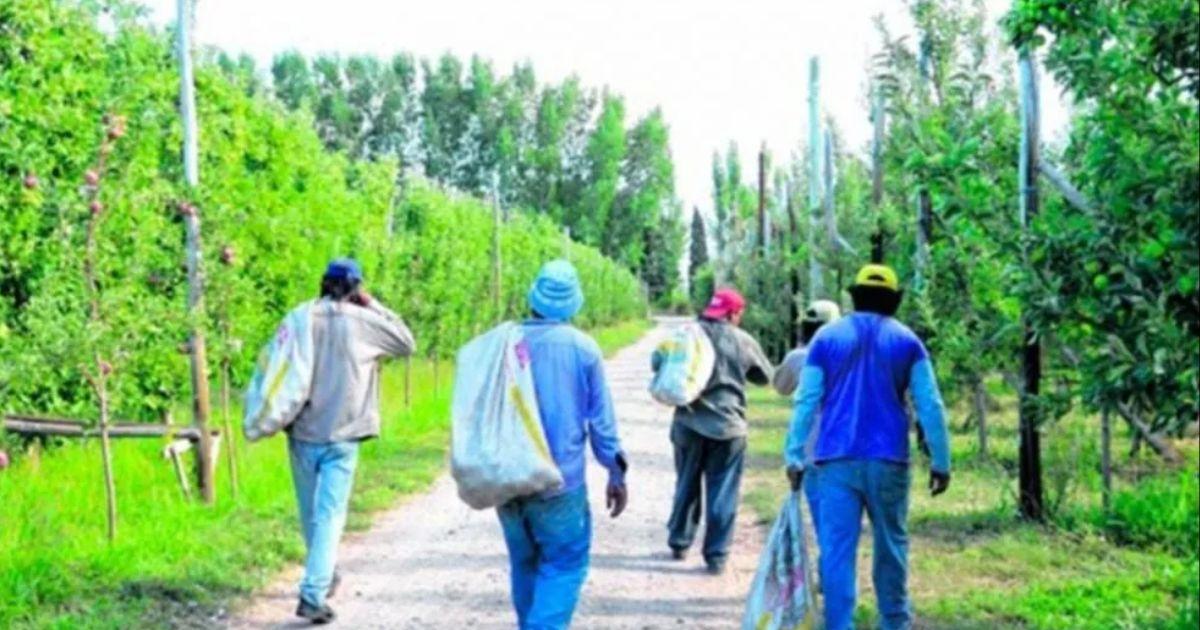 Santiagueños le hacen frente al frío en el sur argentino (Foto Archivo)