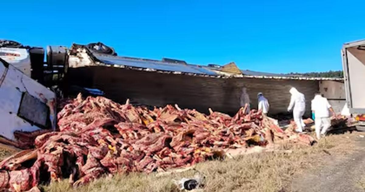 VIDEO- Volcoacute un camioacuten frigoriacutefico y los vecinos se llevaron toda la carne