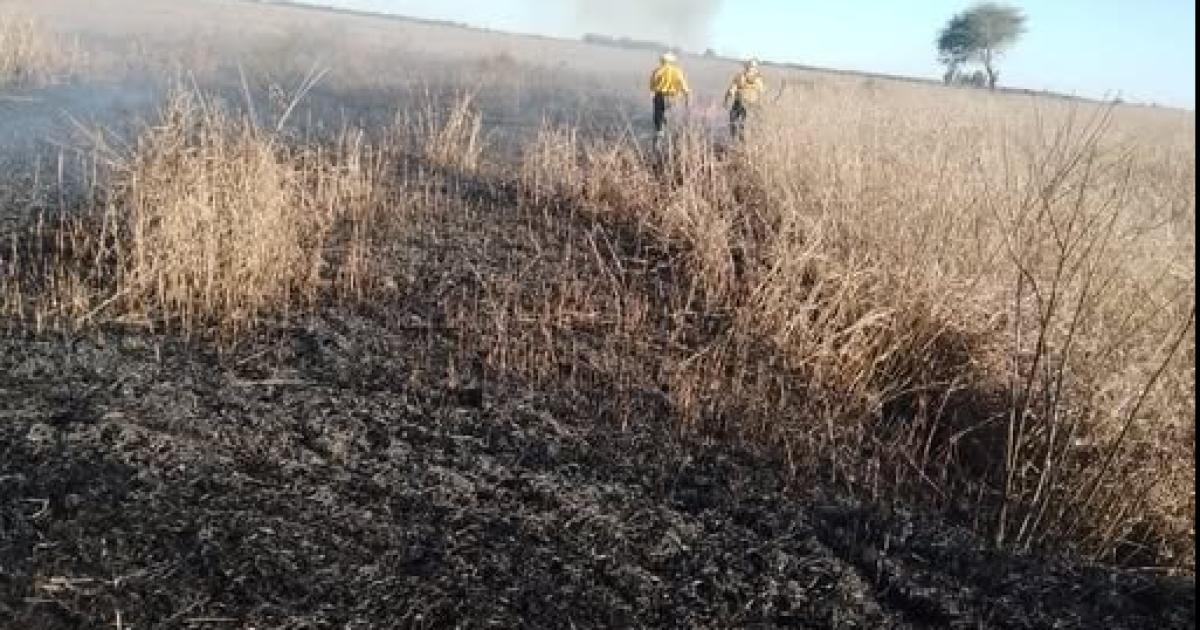 INTENSO Fue el trabajo de los Bomberos de Selva