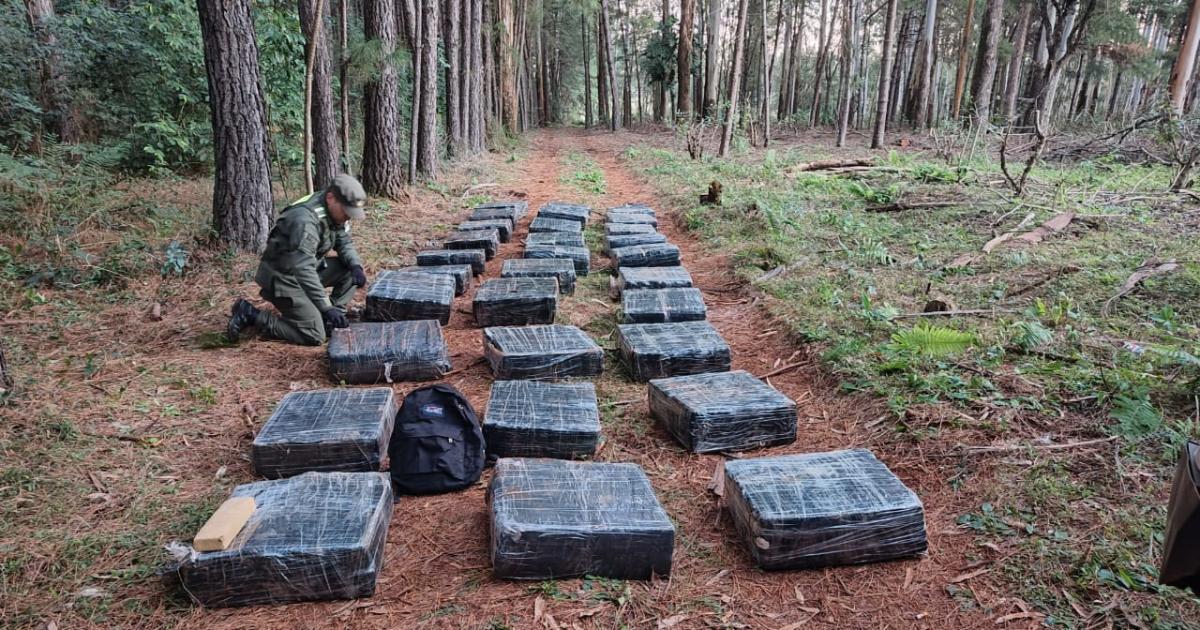 Una patrulla motorizada detecta maacutes de una tonelada de marihuana en medio del monte