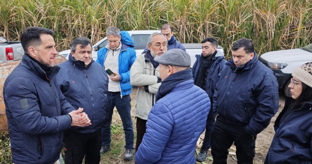 La Defensoriacutea del Pueblo realizoacute observaciones teacutecnicas a industrias sucroalcoholeras