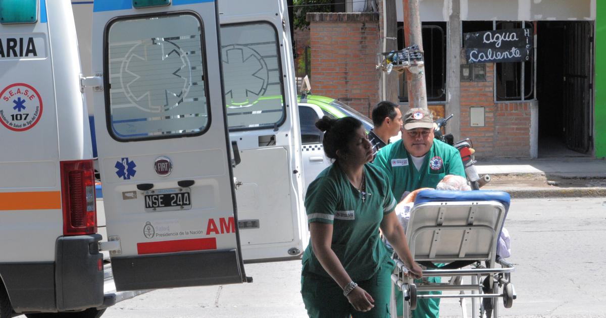 Insoacutelito- salioacute de caceriacuteay casi lo caza su propio perro