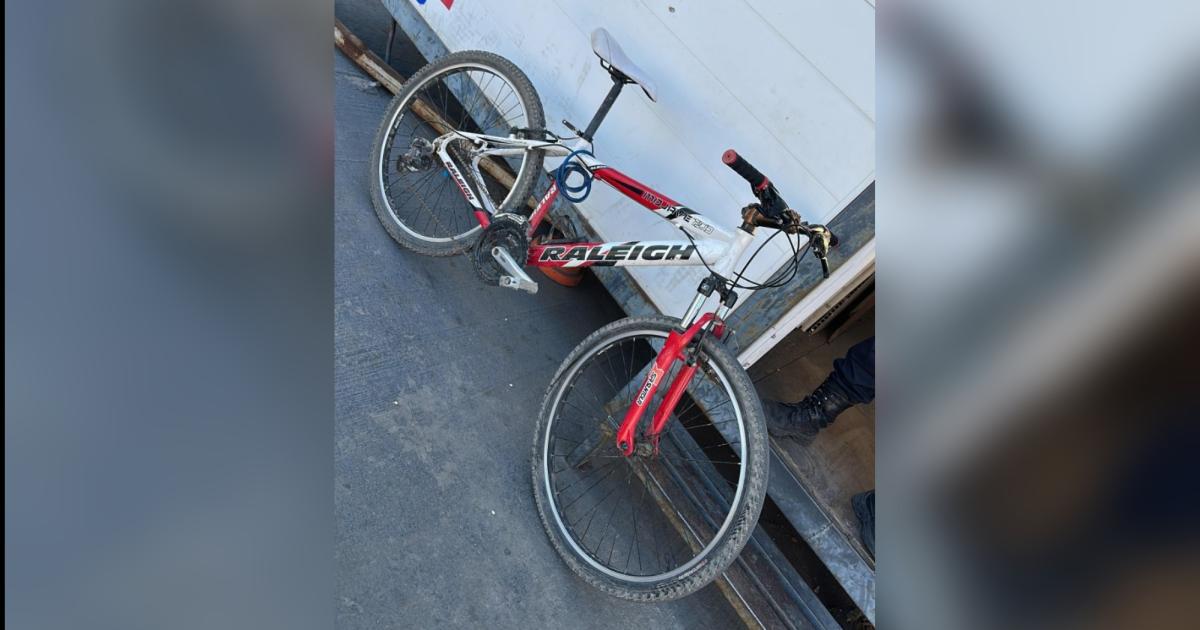 Dueño reconoció la bici que le robaron y alertó a la Policía