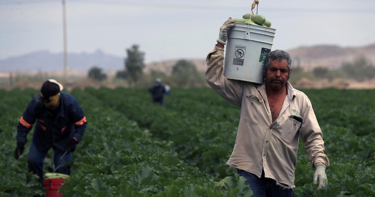 El gobierno de Santiago del Estero exime por 6 meses el pago de Ingresos Brutos al Campo