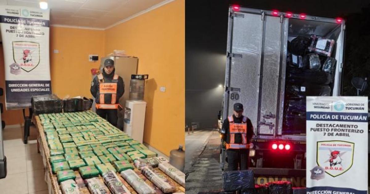 Incautan 30 kilos de hojas de coca a punto de ingresar a Santiago