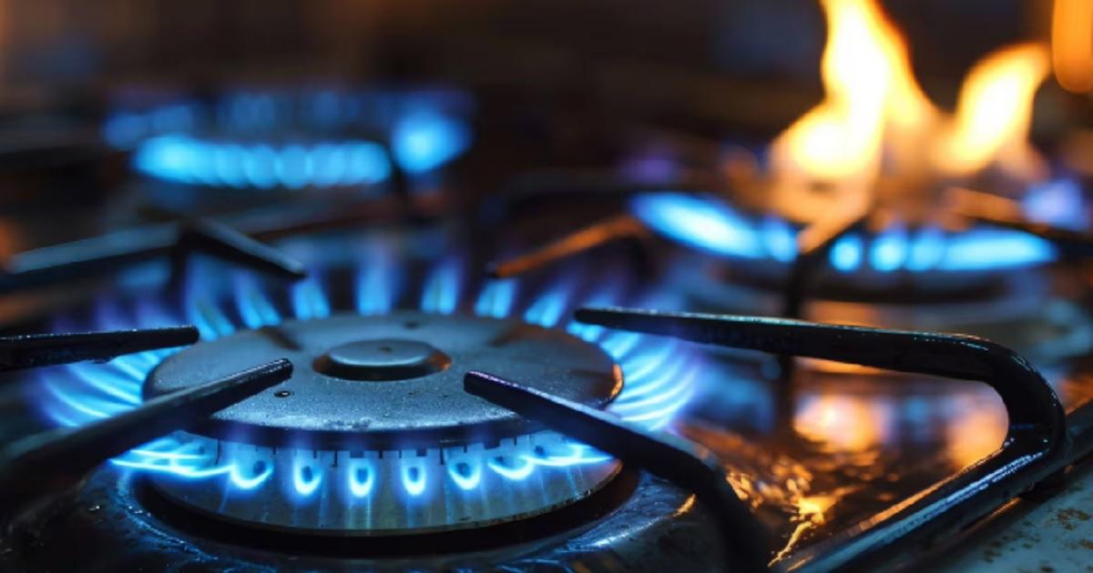 Se espera una ola de friacuteo extremo y buscan mecanismos para que no vuelva a faltar el gas