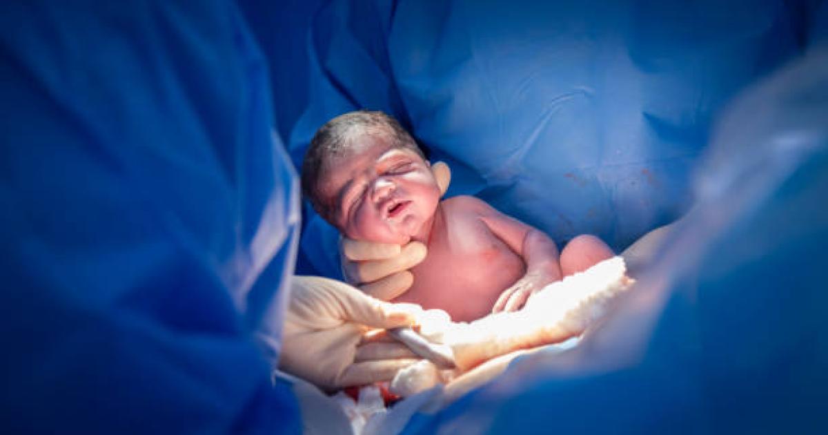 DATO Se registra una Tasa Global de Fecundidad de 14 hijos por mujer