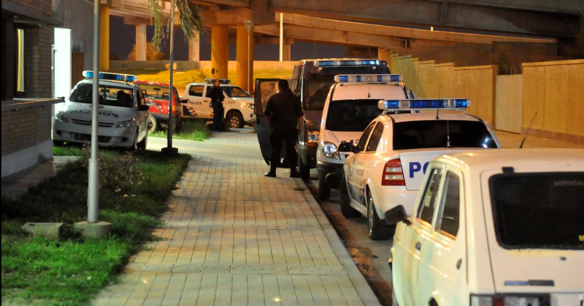 Vagabundo atacoacute a una joven y su perro hirioacute a un policiacutea que intervino