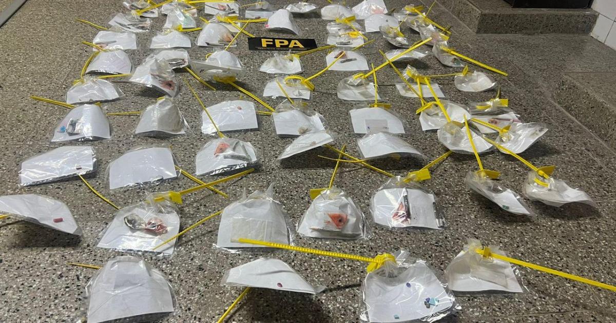 Fiesta electroacutenica y drogas- secuestraron caramelos alucinoacutegenos eacutextasis y maacutes