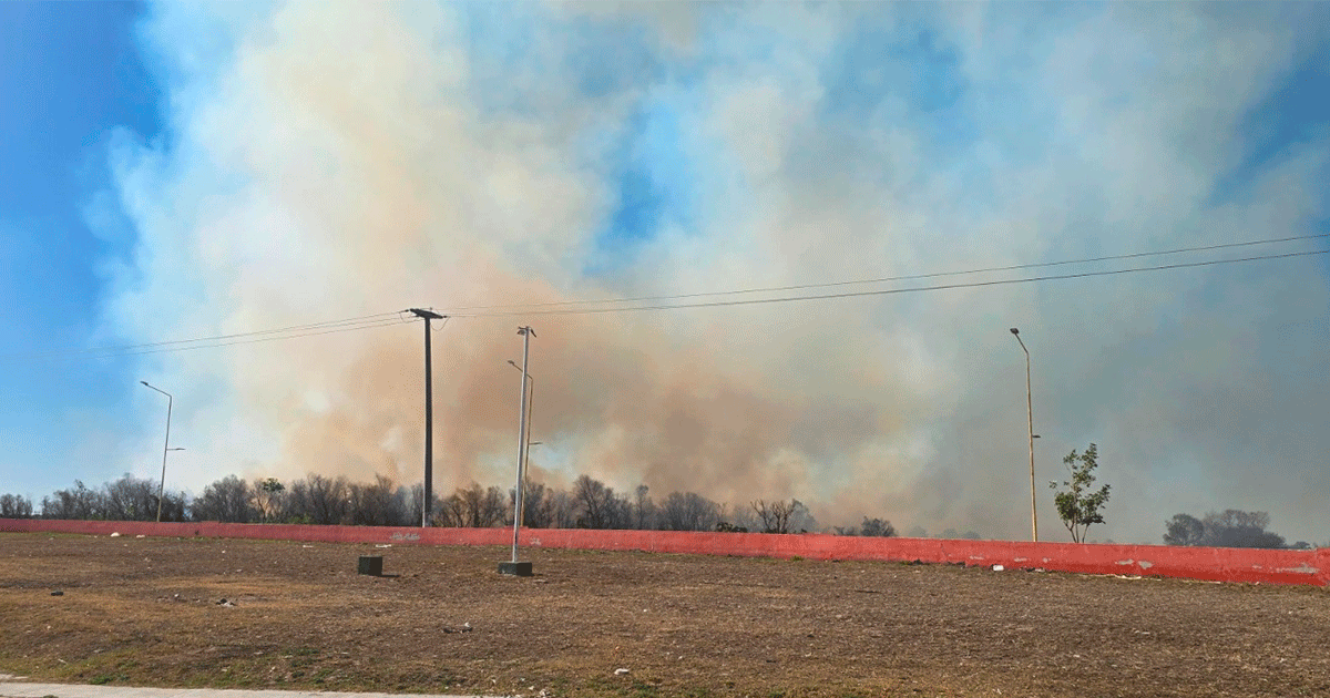 El fuego alertó a las autoridades que actuaron de inmediato
