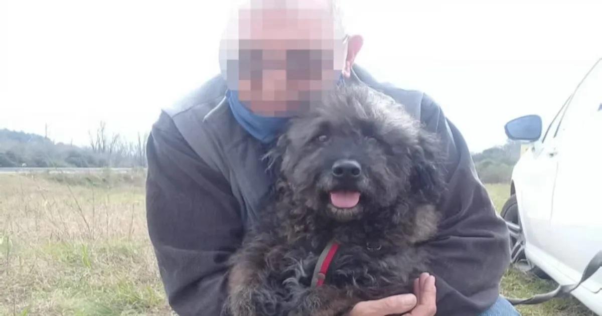 Asaltaron a un hombre de 75 años y asesinaron brutalmente a su perro 