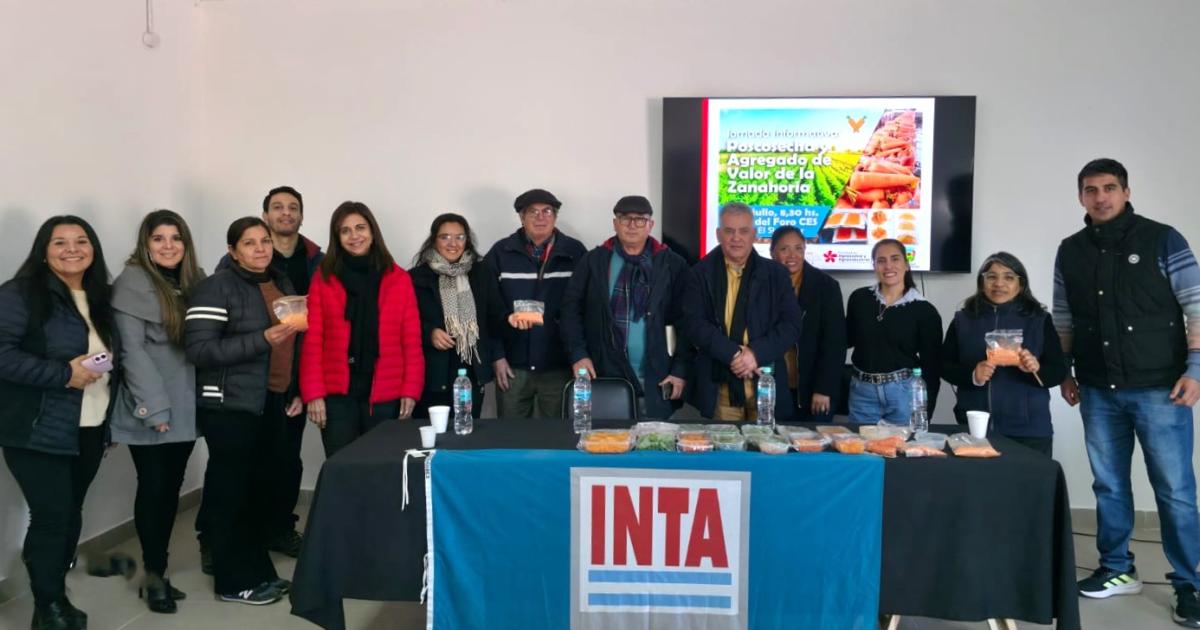 El Inta se refirioacute al agregado de valor en la produccioacuten de zanahoria