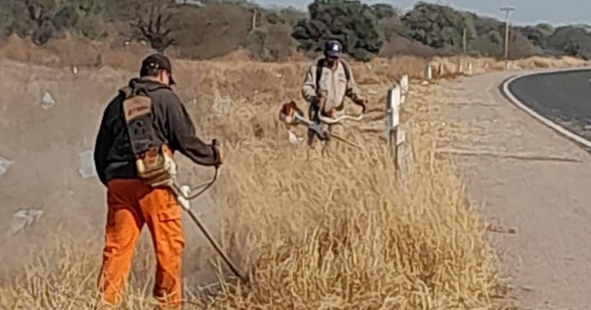 Las tareas se desarrollarn desde hoy y hasta el viernes