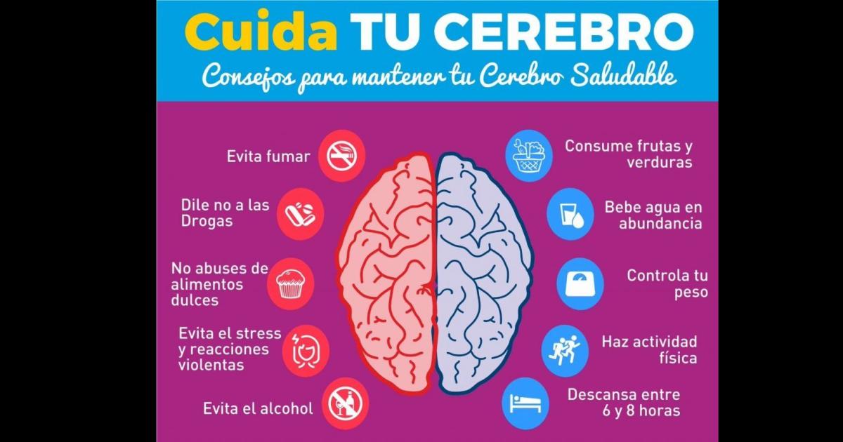 ACV y demencia dolencias que maacutes afectan al cerebro