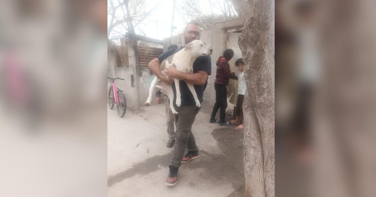 Recuperan una perra perdida tras operativo policial en el barrio La Catoacutelica