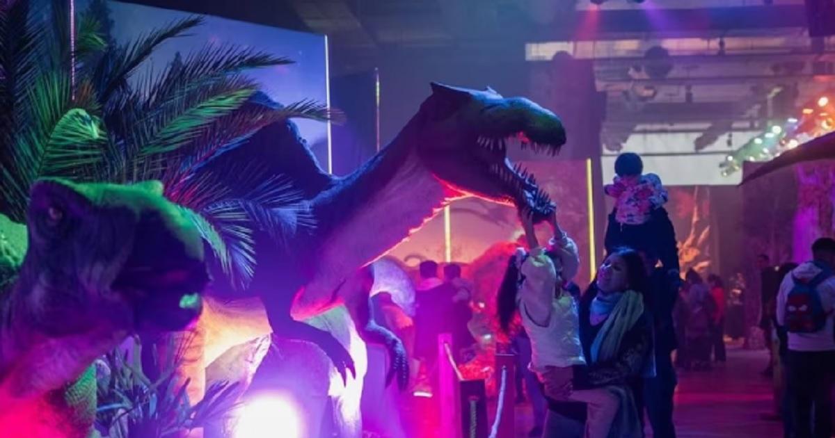  Una embarazada murioacute en un parque de diversiones y lograron salvar a su beba