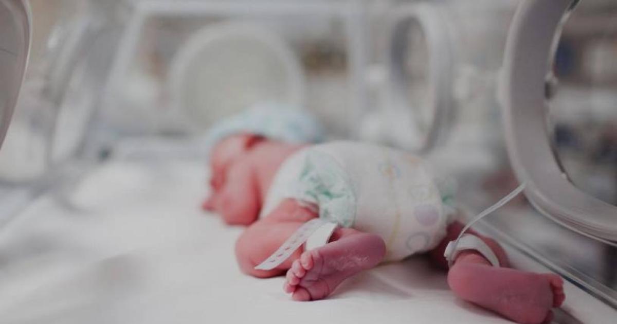 Fallecioacute la beba que nacioacute tras la muerte de su madre